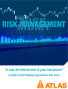 fuel hedging strategies